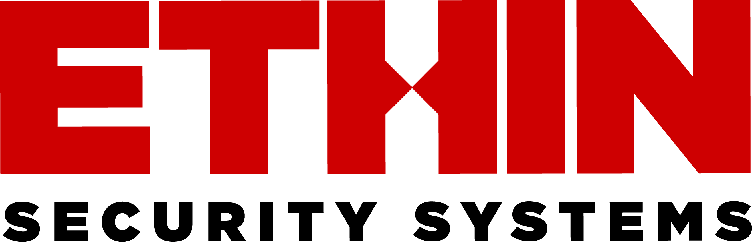 Ethin Security Systems | logo